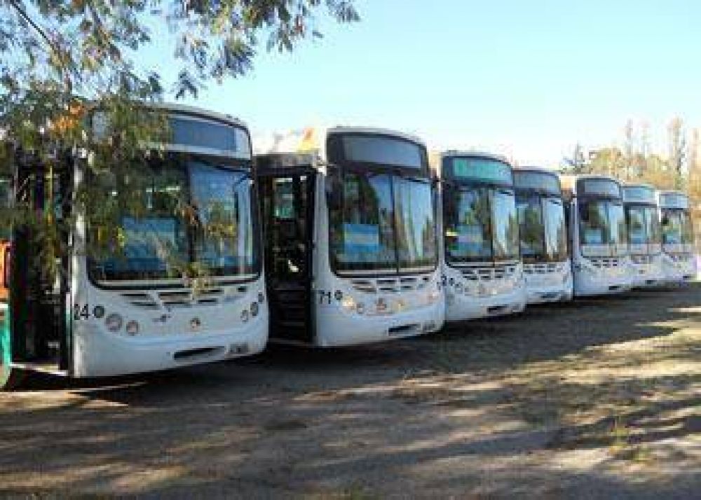 Los choferes de Transpuntano continuar�n con el paro