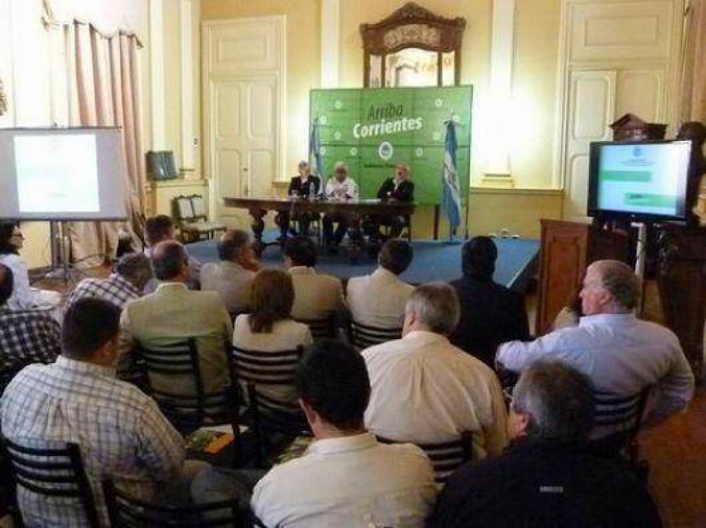 Fuerte apuesta a la futura instalaci�n de una pastera