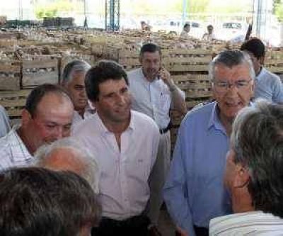 Ajos: aconsejan no vender barato