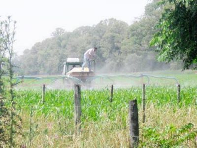 En J�uregui tambi�n fumigan a los vecinos