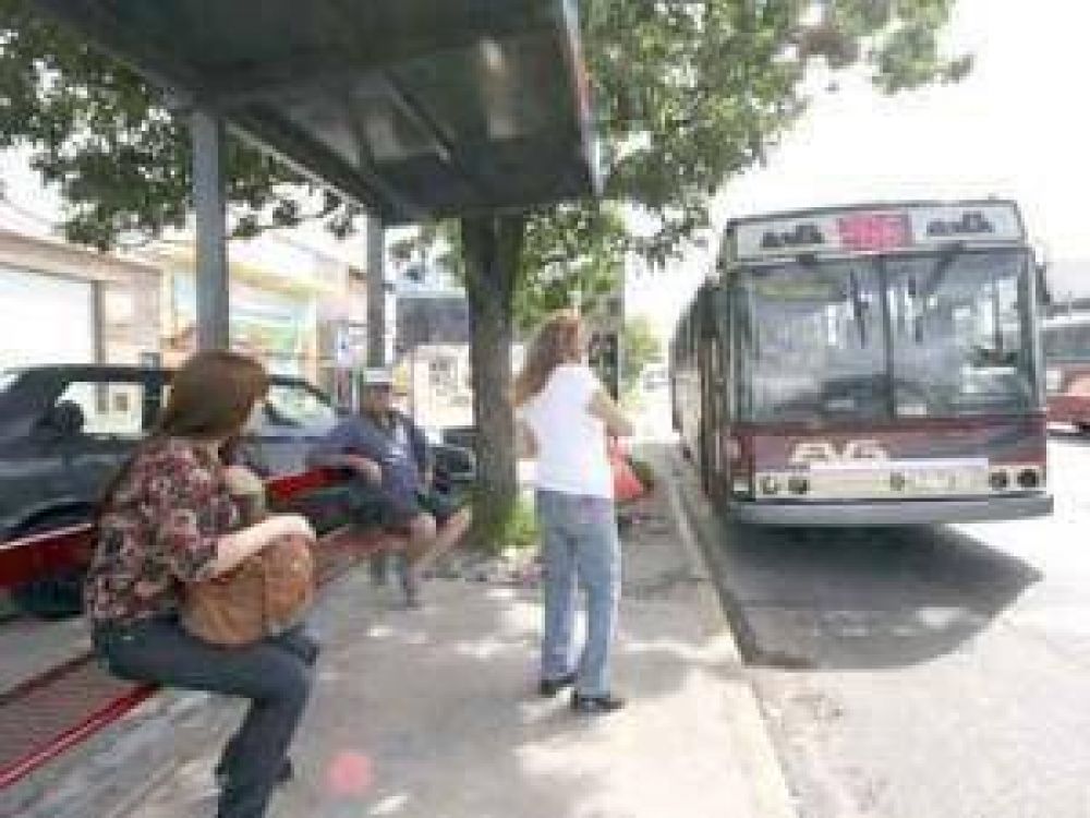 Las principales calles de San Jos� ya tienen 50 paradas de colectivos