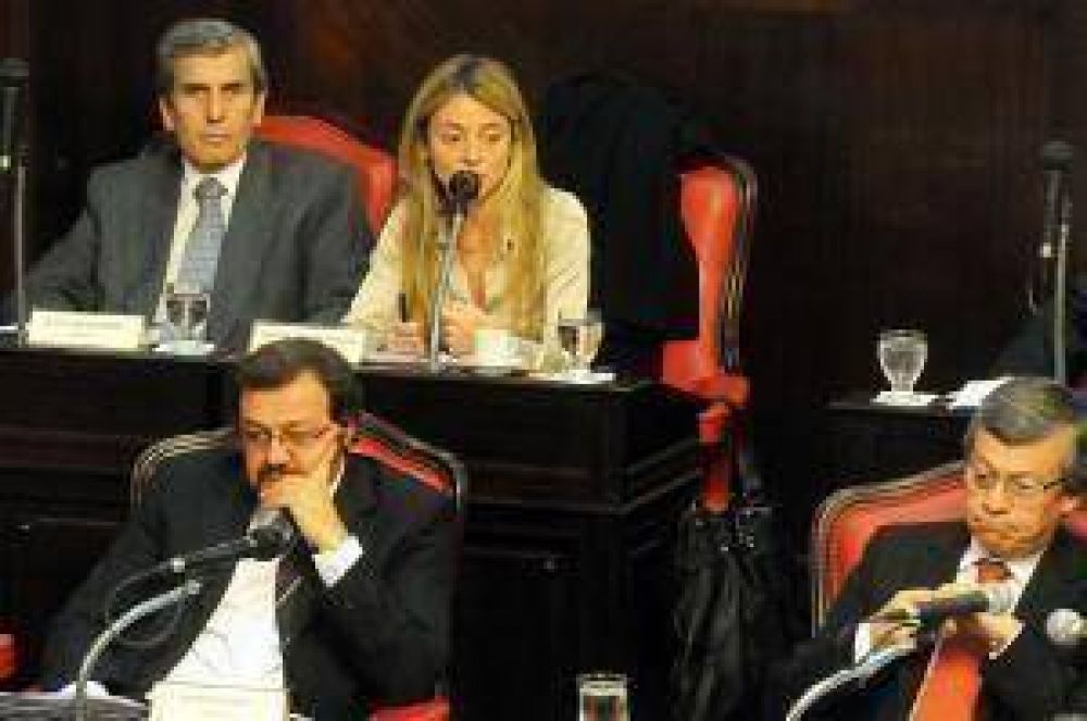Baro ser� la vicepresidente del bloque de senadores de la UCR 