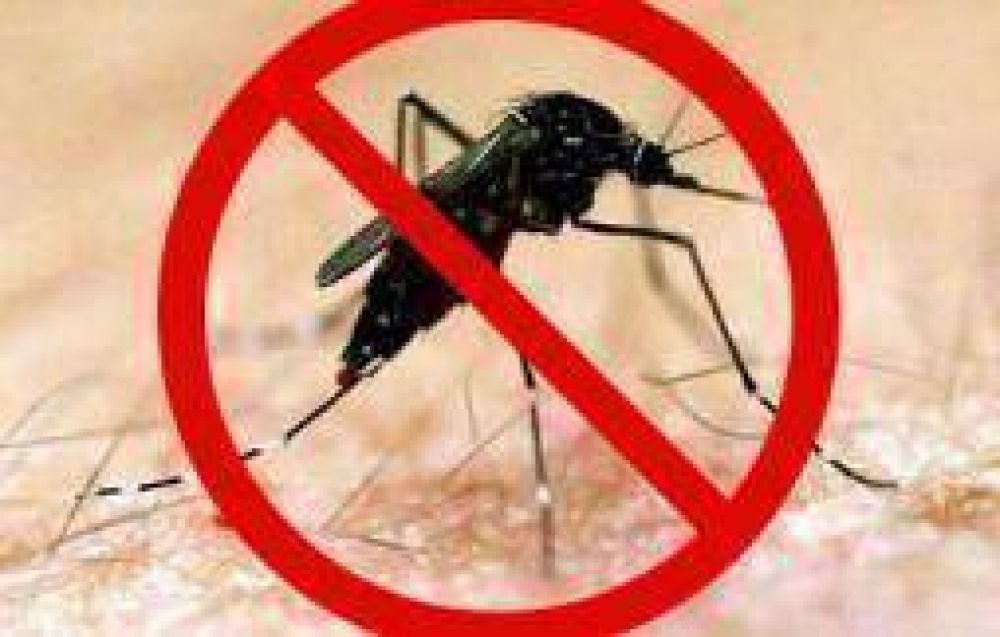 La Rioja no registr� casos de dengue durante el 2011