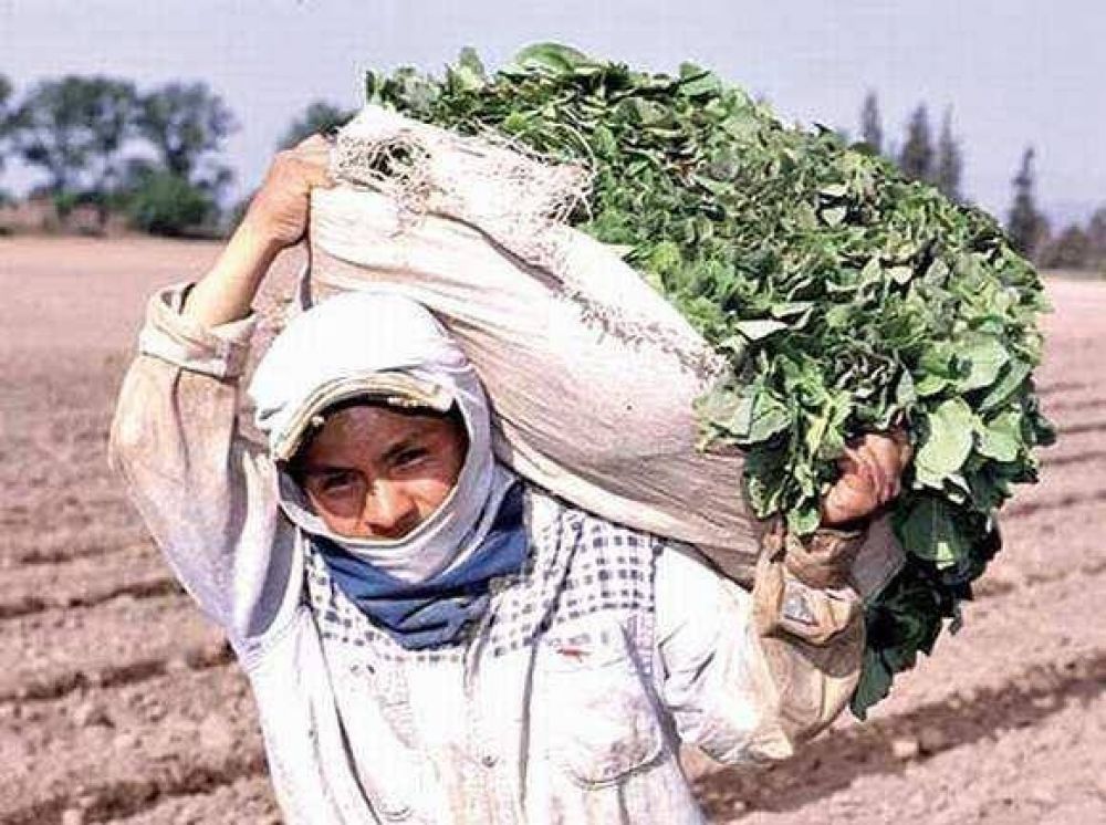 Apoyo en gestiones y reclamo por la negociaci�n del precio del tabaco 