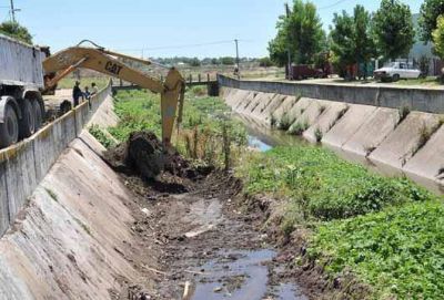Limpieza del Arroyo Claro
