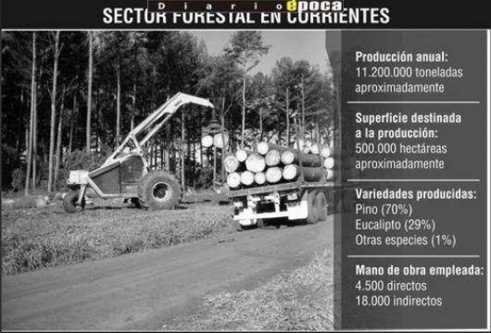 Respaldo del empresariado a la radicaci�n de pasteras en Corrientes