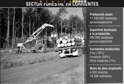 Respaldo del empresariado a la radicaci�n de pasteras en Corrientes