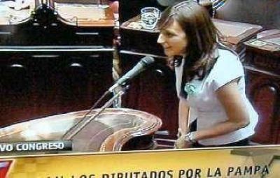 Alonso y Kroneberger ya juraron como diputados nacionales