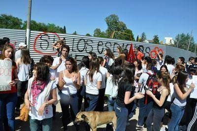 Medasur: inician sumario a la directora del Belgrano y a un docente