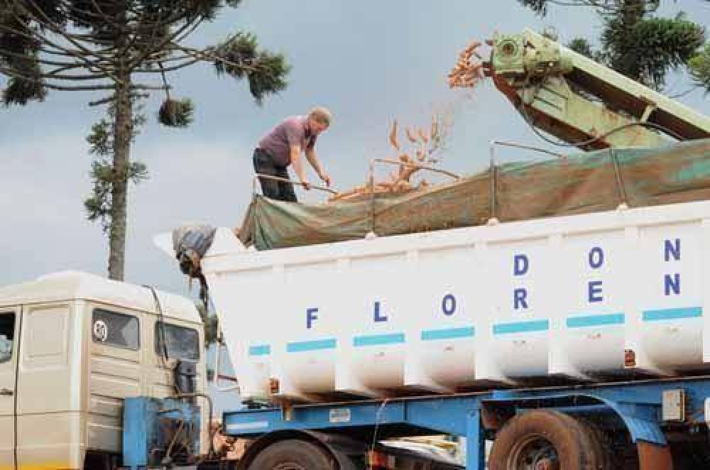 Empresarios invertir�n 5 millones de d�lares en planta de f�cula