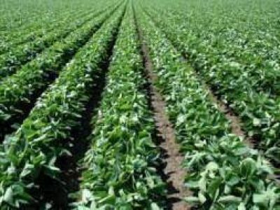 Olavarr�a recibi� 250 mil pesos menos de coparticipaci�n