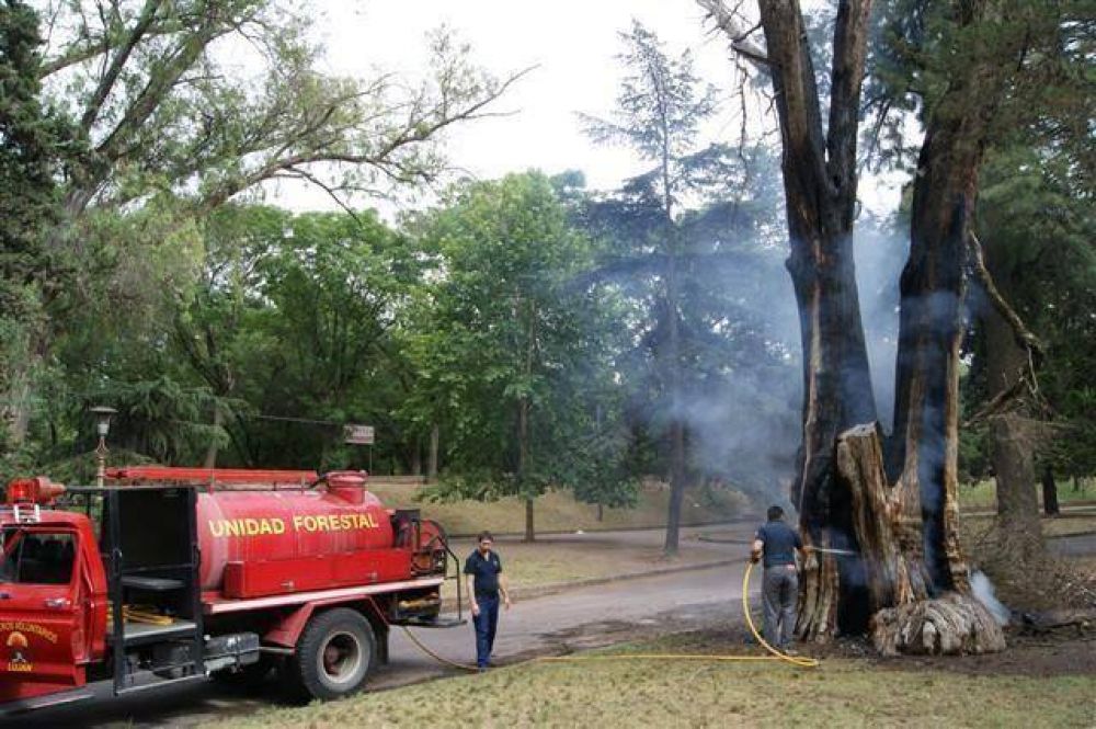 LUJ�N - SE INCENDI� UN A�OSO �RBOL DEL PARQUE AMEGHINO