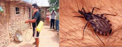 La OPS destac� el avance de Santa Fe en el control del chagas