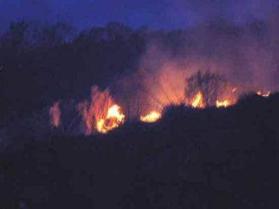  Hubo un incendio en la barda.