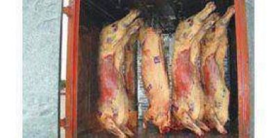Decomisaron 500 kilos de carne en mal estado