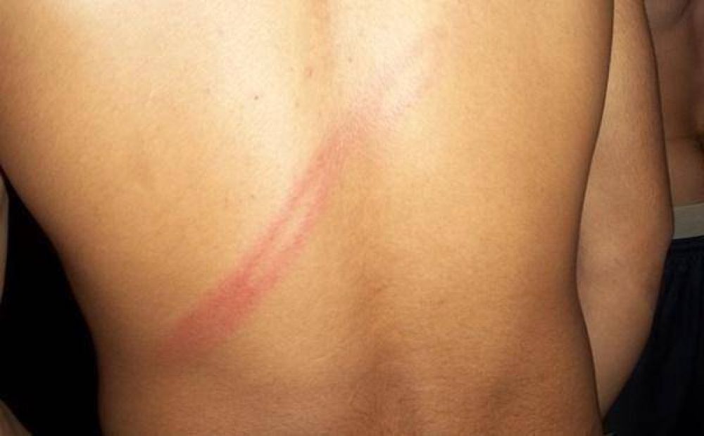 Difunden impactantes im�genes del Penal III