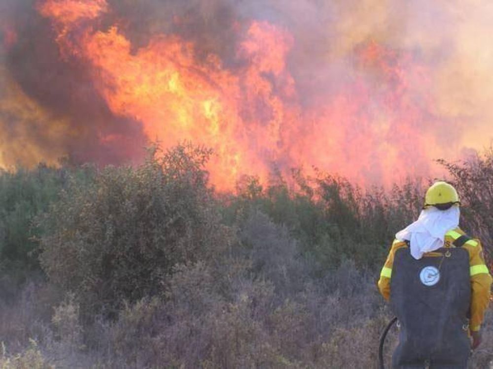 Contuvieron el incendio de Monte Com�n pero el fuego que se inici� en La Pampa sigue sin control