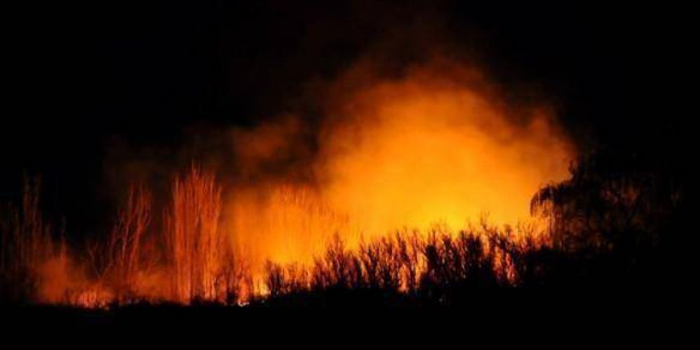 Los focos de incendio en Mendoza y La Pampa est�n controlados