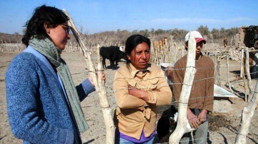 El 3% de la tierra mendocina, en manos extranjeras
