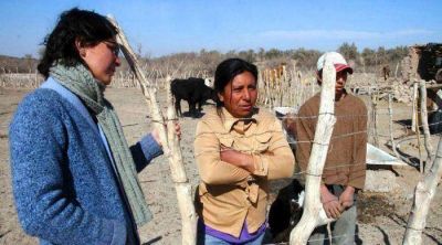El 3% de la tierra mendocina, en manos extranjeras