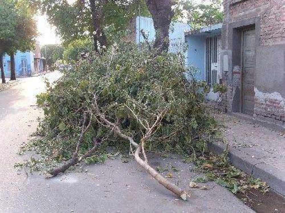 Una nueva denuncia por el desmonte ribere�o.