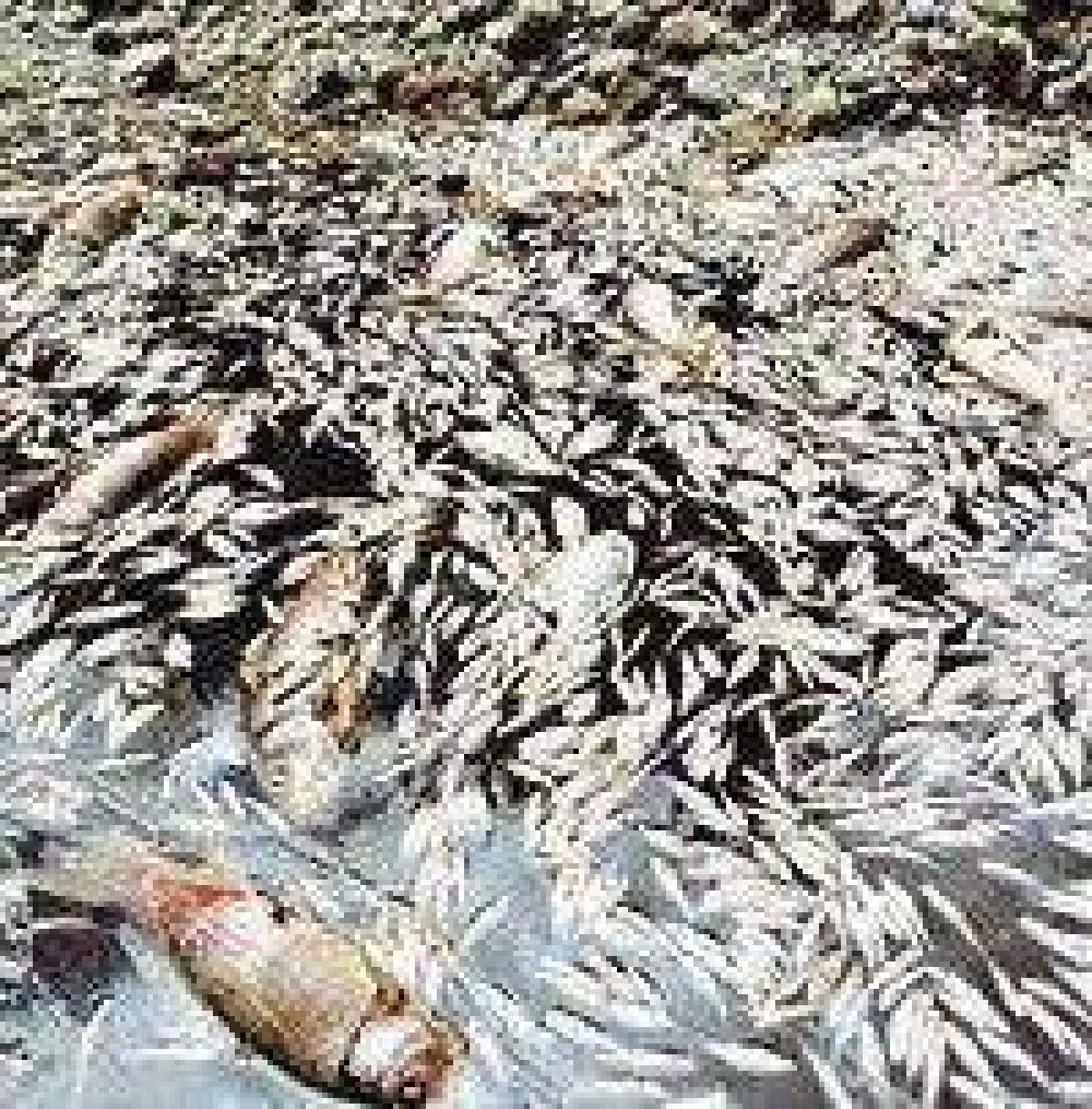 M�s cuestionamientos a Alumbrera por contaminaci�n