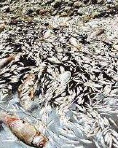 M�s cuestionamientos a Alumbrera por contaminaci�n