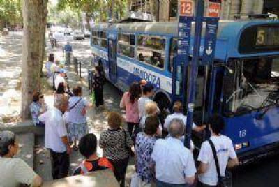 Troles ineficientes: hasta 30 minutos de espera en las paradas
