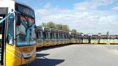No circulan los colectivos de la empresa Coniferal