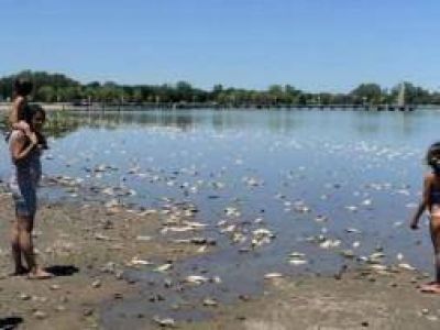 Jun�n: Centenares de peces muertos por la sequ�a