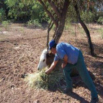 Por la sequ�a, salen a censar a los productores afectados