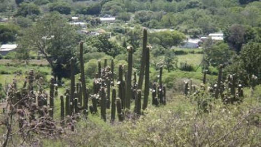 Un atractivo en plena construcci�n con un recorrido al comp�s del r�o