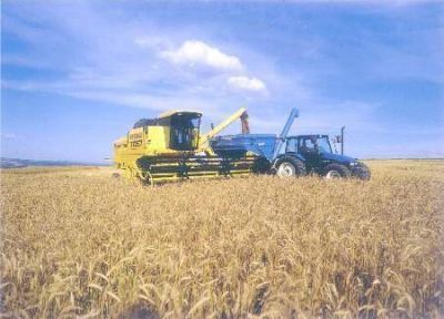  Productores agropecuarios de la regi�n quieren pagar tasas municipales con trigo 