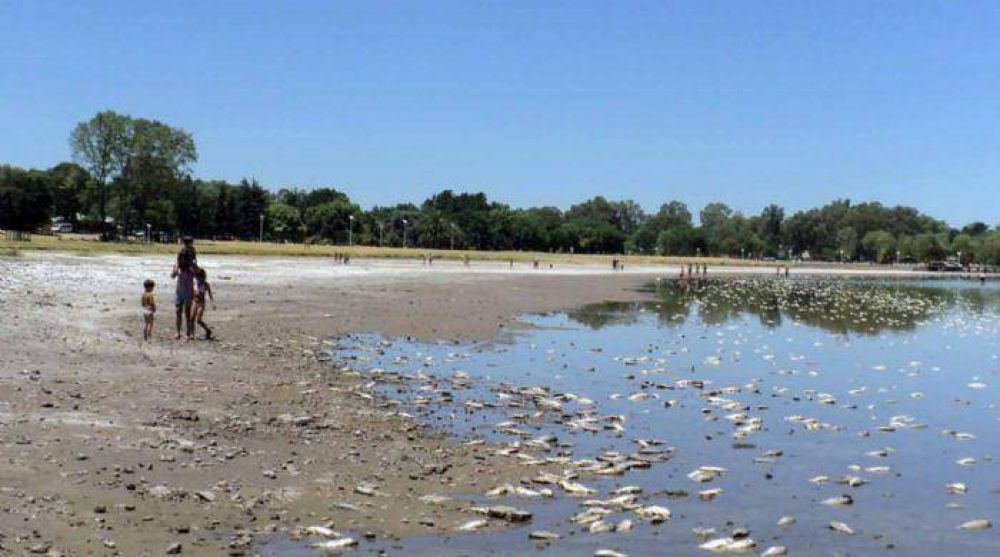 El municipio est� en alerta por la alta mortandad de peces en la Laguna
