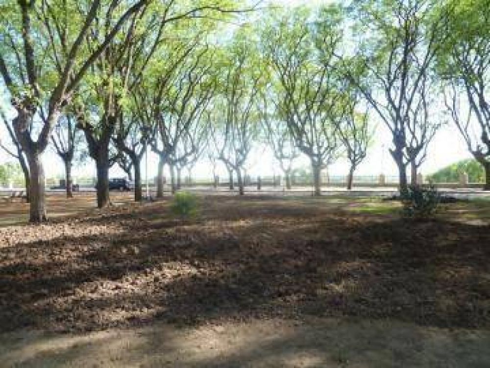 Arreglan la Plazotela Fray Cayetano Rodr�guez