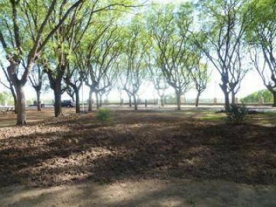 Arreglan la Plazotela Fray Cayetano Rodr�guez