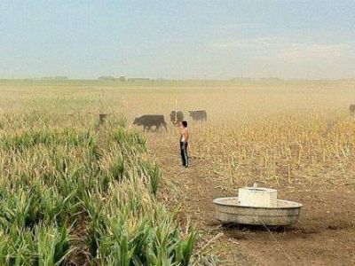 Se agrava la sequ�a y ya prev�n p�rdidas millonarias en los cultivos