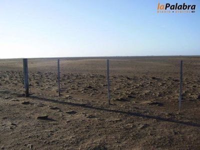 Constatan las denuncias por el Seguro Multiriesgo 