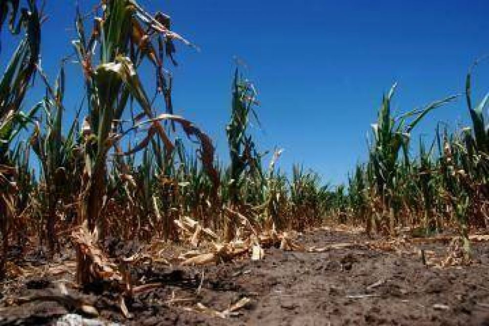 Productores preocupados por la sequ�a