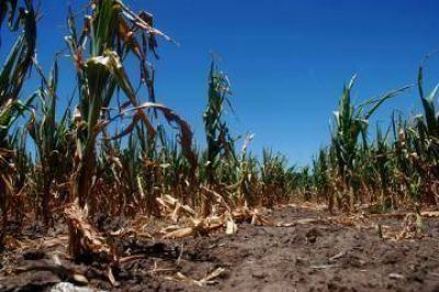 Productores preocupados por la sequ�a