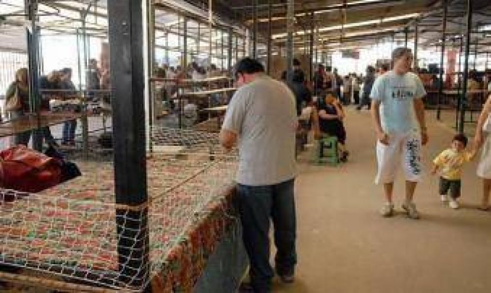 No es desalojo, es traslado: Reubican a 12 mil puesteros de �La Saladita� para seguir con el saneamiento del Riachuelo