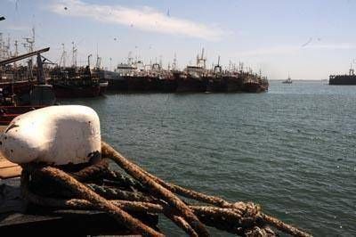 "Es cada vez m�s costoso e ineficiente operar en el puerto de Mar del Plata"