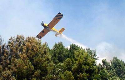 Con 39 incendios, ya ardieron cerca de 80.000 hect�reas dentro de la provincia