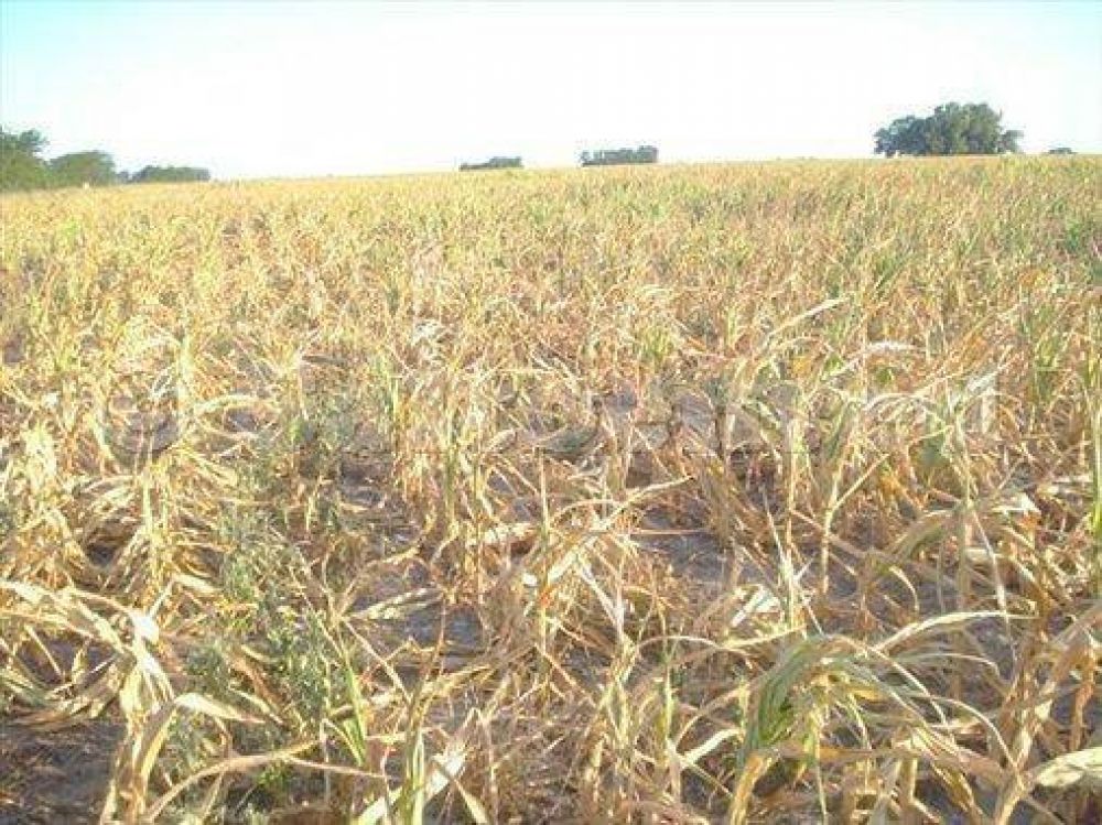 Informaci�n desde Federaci�n Agraria de Salto  