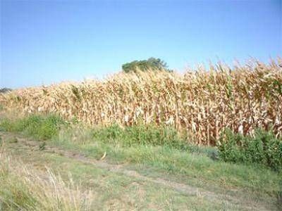  Pablo Palioff Nosal: �Estamos en un escenario clim�tico complicado� por la falta de lluvias 