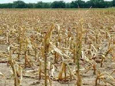 Por la sequ�a, la Provincia aportar� 28 millones a los productores del sudoeste bonaerense	