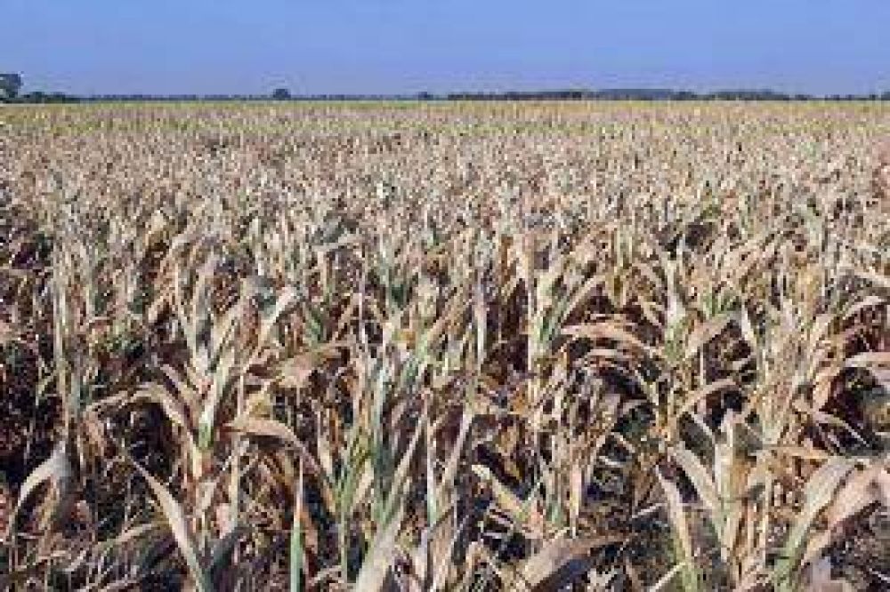 Sequ�a: prev�n p�rdidas por 8 mil millones de d�lares