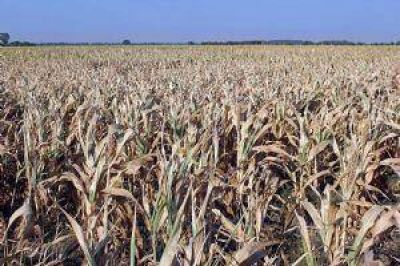 Sequ�a: prev�n p�rdidas por 8 mil millones de d�lares