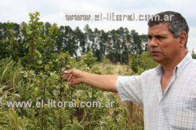 La sequ�a comienza a repercutir en algunos sectores del campo provincial