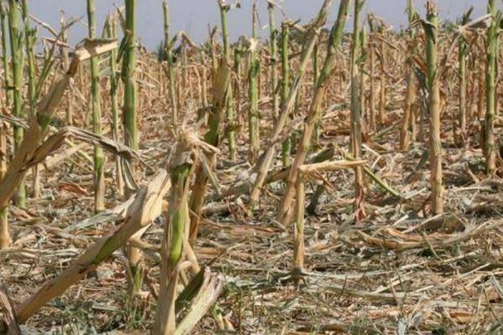 No ampliar�n el fondo de emergencia por sequ�a 